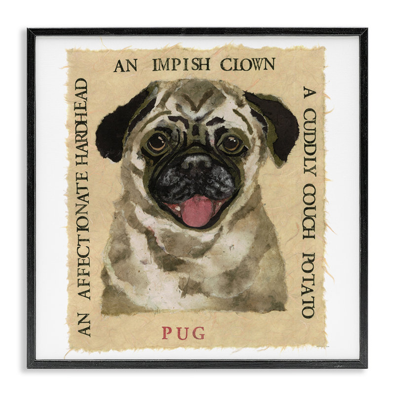 "Fun Pug Pet", estampe numérique encadrée par Nancy Overton, H 12 po x l 12 po, Giclée encadrée noir minuit