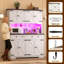 Armoire de cuisine 55 po avec huche, prise de courant et tablettes réglables, armoire de rangement de 71 po de hauteur-1364346030