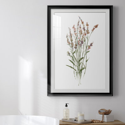 " Dainty Botanical II " Painting Print