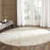 Carman Performance Damask Rug
