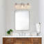 Éclairage pour meuble-lavabo de salle de bain 22 po à 3 lumières en nickel avec abat-jour en verre 22 po-99499427-106894854