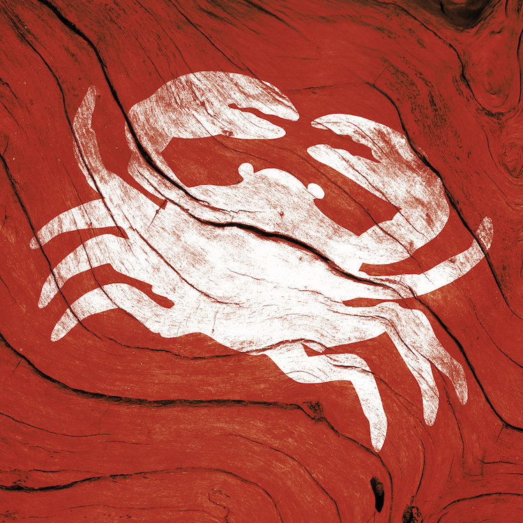 « crab », impression sur toile, H 37 po x l 37 po x P 1,5 po