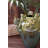 CERAMIC FROGS AND SNAILS VASE