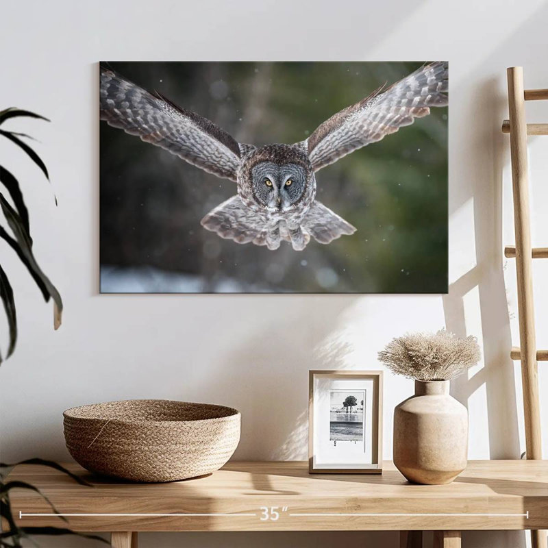 Brampt Flying Winter Owl, 16" H x 24" W