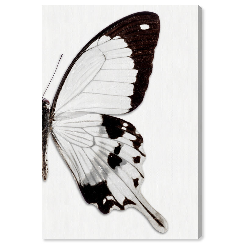Papillon monochrome II - photographie sur toile, Toile tendue, H 30 po x l 20 po