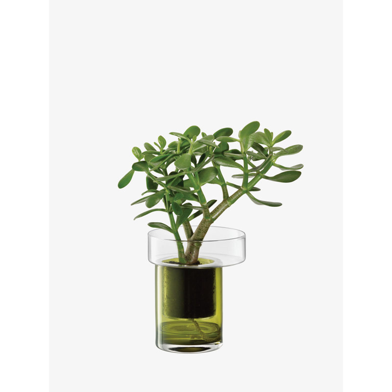 Balcony Handmade Glass Planter, 7.5" H x 6.25" W x 6.25" D