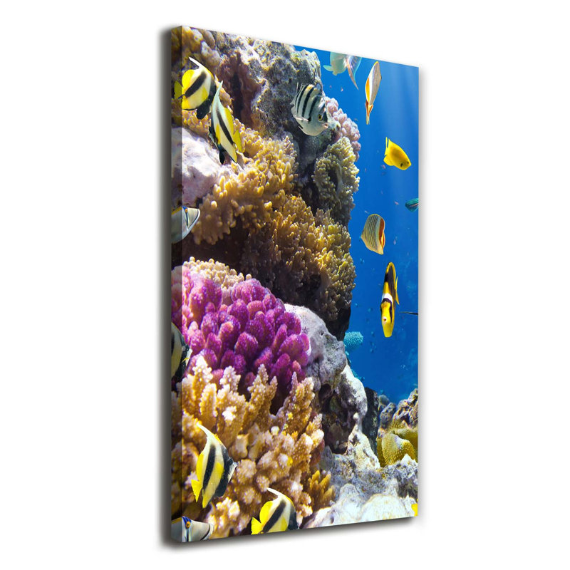 Coral Reef 1 Piece Wrapped Canvas Wall Art