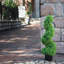 Faux Boxwood Topiary in Pot-66642383