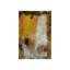 Mixed Maize Print by Samuel Kane-26674017-26674020