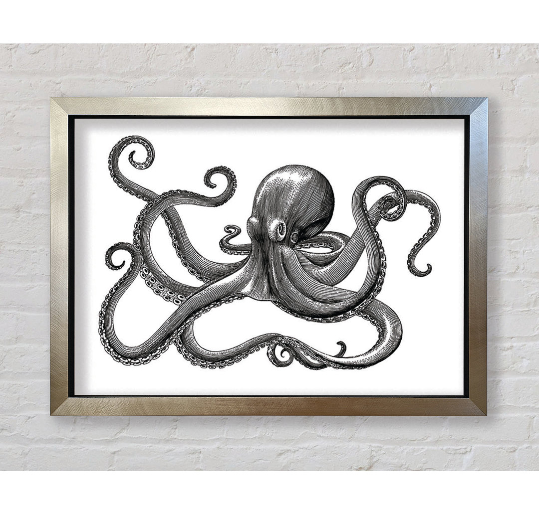 Oktopus Illustration - Einzelner Bilderrahmen Kunstdrucke