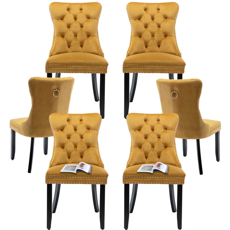 Chaises de salle à manger, chaise de salle à manger rembourrée haut de gamme avec anneau clouté, Noir, Velours doré, 6