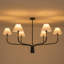 6 - Light Chandelier