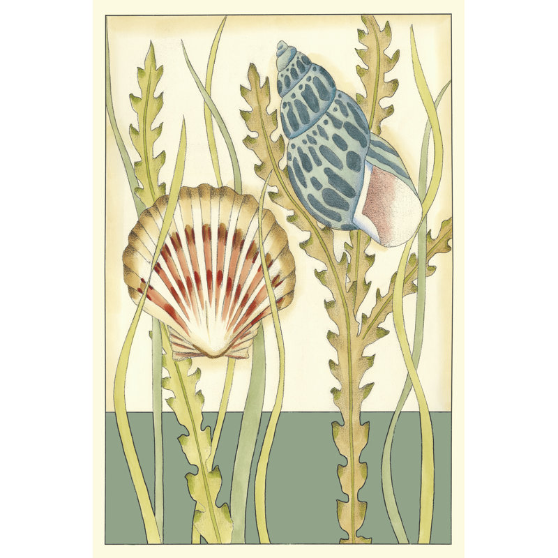 Shell Season IV - Wrapped Canvas Print, 30cm H x 20cm W x 3.8cm D