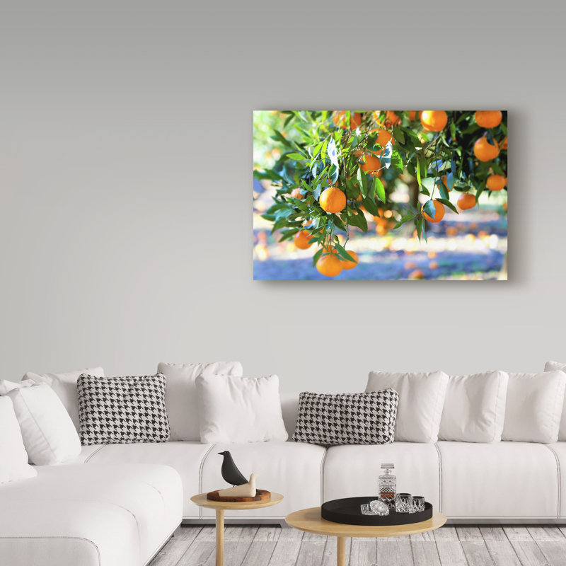 Yareny «Citrus Oranges», reproduction de photo sur toile tendue, H 16 po x l 24 po x P 2 po