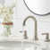 Widespread 2-handle Bathroom Faucet with Drain Assembly