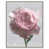 Silver Floater Frame