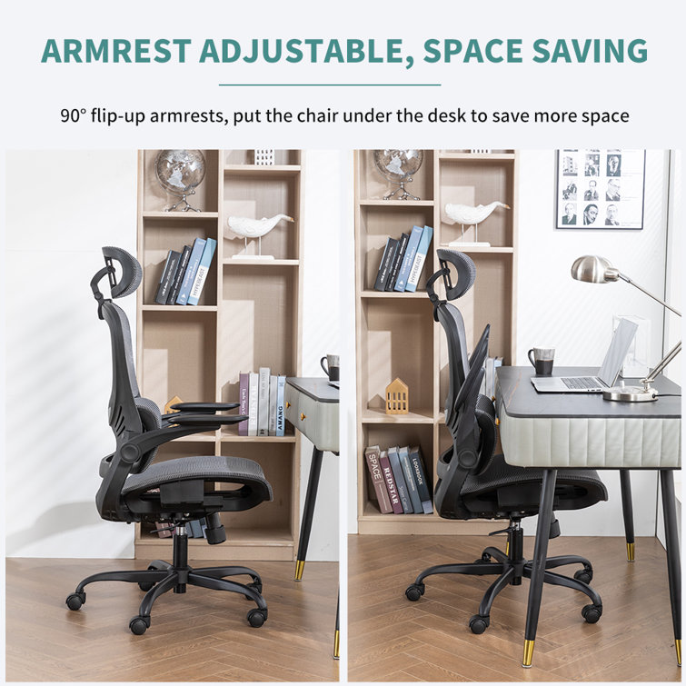 https://assets.wfcdn.com/im/84551745/resize-h755-w755%5Ecompr-r85/2608/260800345/Ergonomic+Office+Chair+with+Flip-up+3D+Armrests+and+Adaptive+Lumbar+Support.jpg