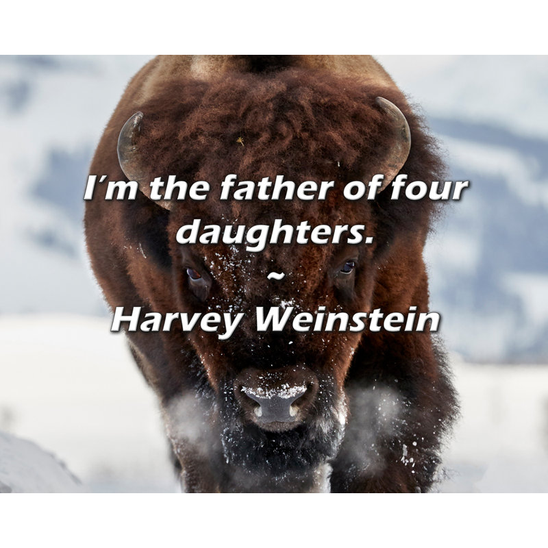 Citation de Harvey Weinstein: «I'm the père de quatre filles».