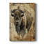 ANIMALS Series CDXCII - Gallery Cavas-1148697405