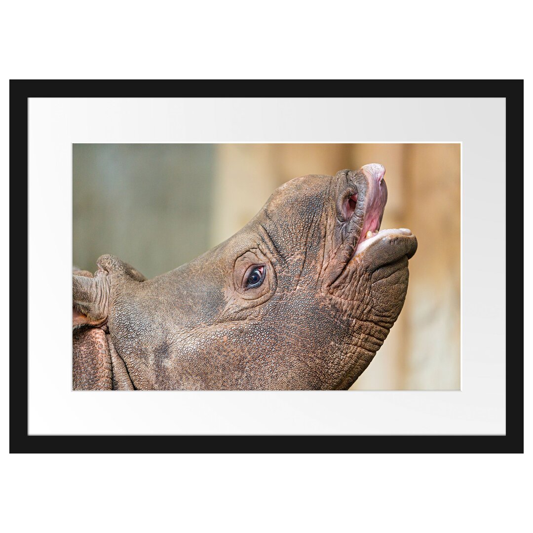 Gerahmtes Poster Kleines Nashorn