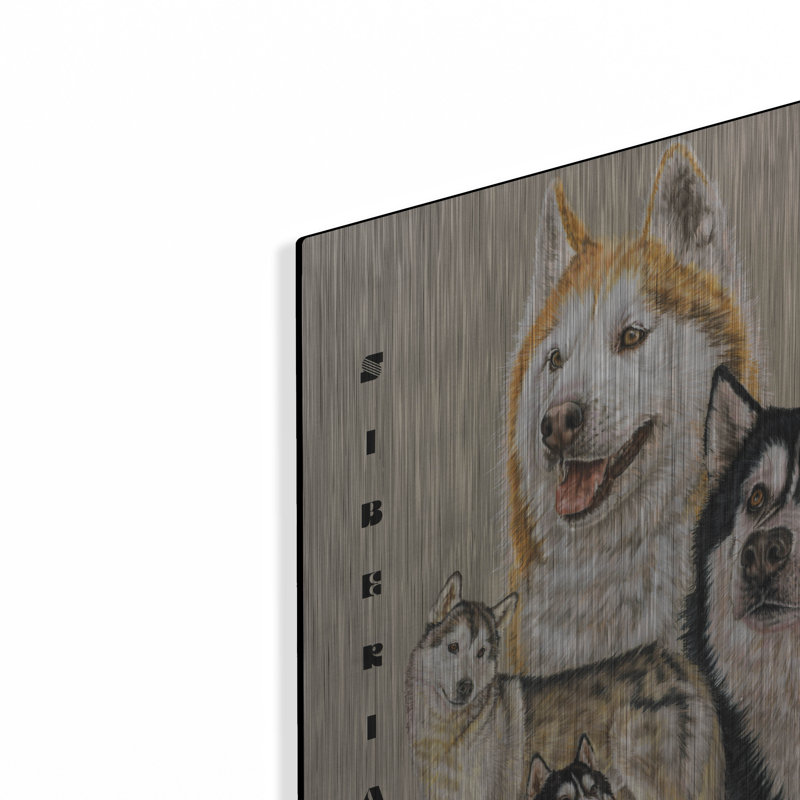 " Siberian Husky " by Barbara Keith, 24" H x 16" W
