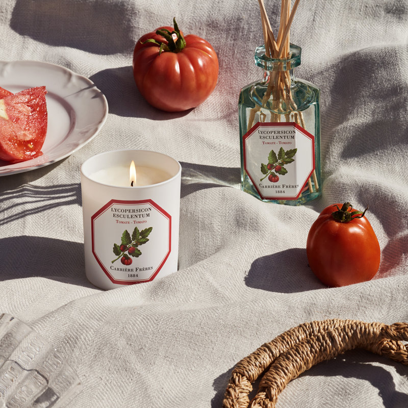 Fruits Diffuser, Tomato