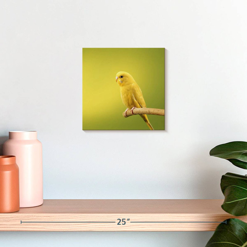 Brampt Perched Yellow Parakeet, 10" H x 10" W