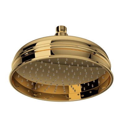 Bordano Raincan Shower Head