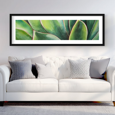Aquarelle, plante d'agave - impression botanique encadrée