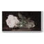 Botanical Series-CD XXXII - Toile tendue avec châssis encadré - Prêt à être accroché-1872582240-1872582233