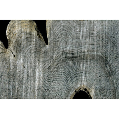 Gray Ghost I by John Butler - Painting Print