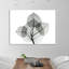 « bo leaves i », reproduction d’impression sur toile tendue-911965242
