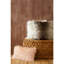 Aizley Square Throw Cushion-85516461
