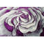 Tapis multicolore à motif floral Villani-416515634