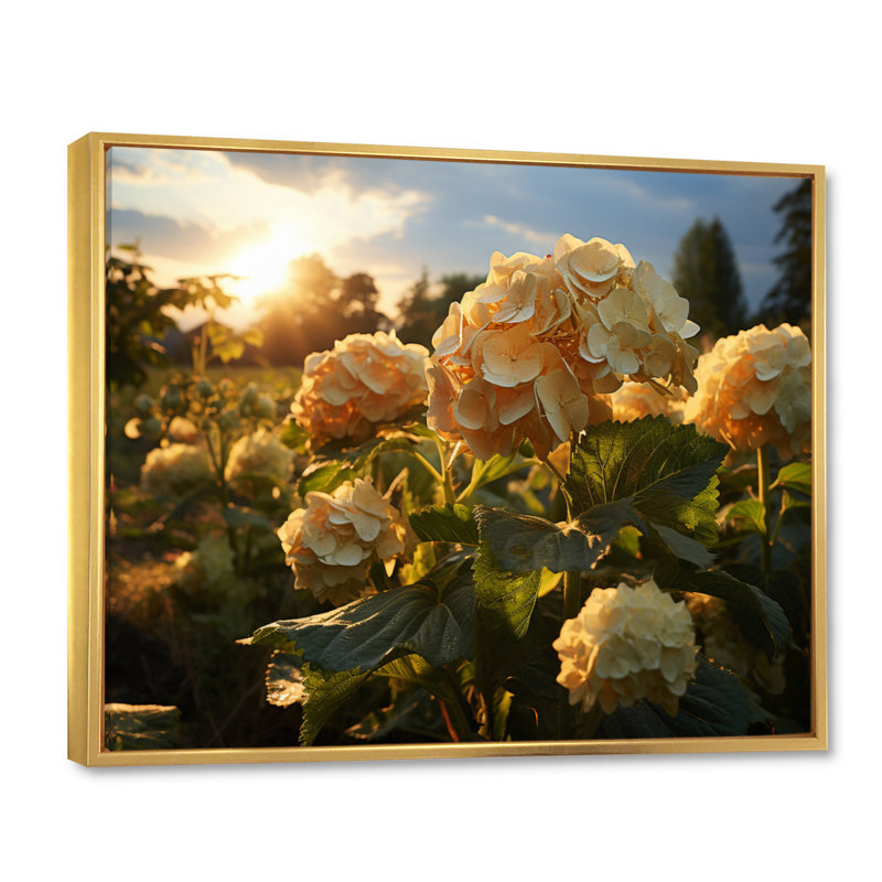 Yellow Hydrangea Field, Cadre flottant doré, H 16 po x l 32 po x P 1 po
