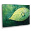 Décoration murale Jacylyn-128750210-128750222-128750328