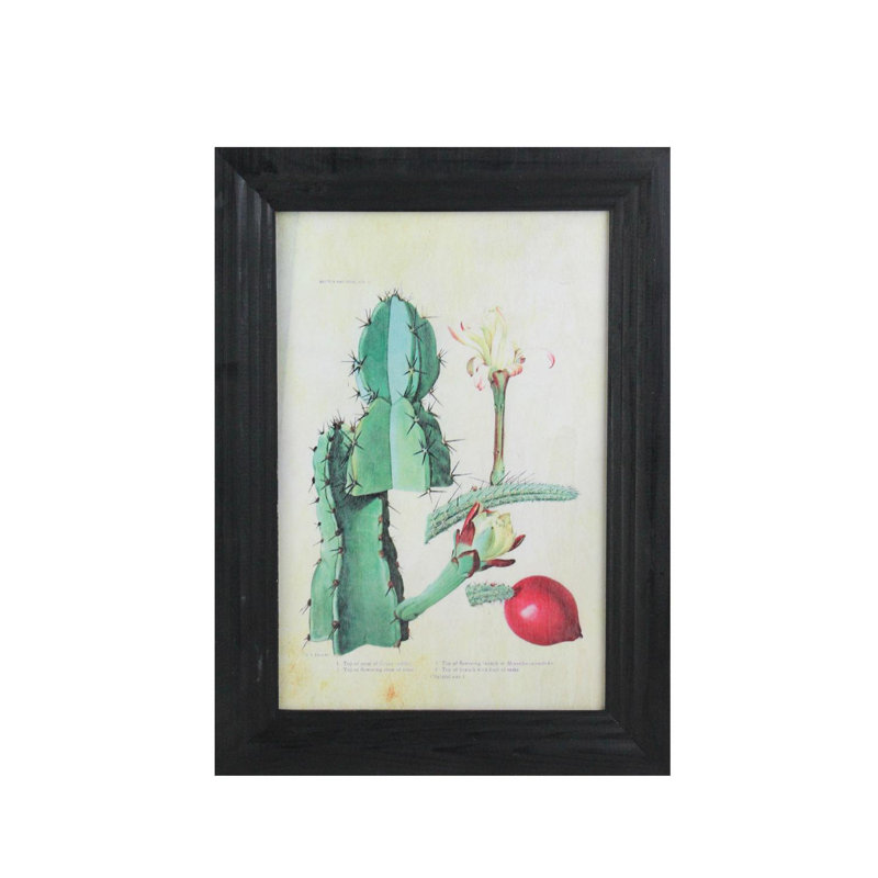 Cactus vert et rouge 14 po avec cadre photo