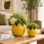 Ensemble de 2 pots à fleurs en céramique avec motif décoratif sculpté - durable et élégant-2035871045-2044407861