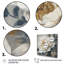 «Emotion Of White Blue Peony Flower II», reproduction d'art sur toile-88544994-88544997