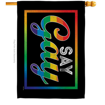 Koley Double Sided 40'' H x 28'' W Polyester House Flag