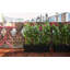 Pot Planter-69178758
