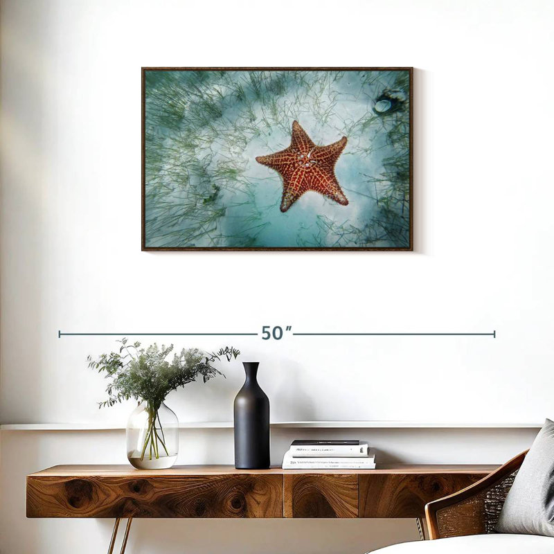 Shallows Starfish, Floating Frame Walnut, 31" X 21"