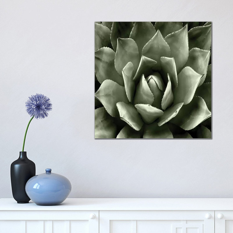 Green Succulent II by Mia Jensen - Wrapped Canvas Painting, 45.72 cm H x 45.72 cm W x 1.91 cm D
