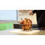 Panier pliable Charbroil The Big Easy