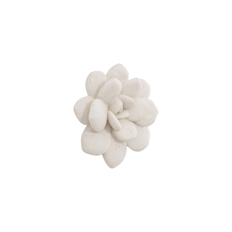 Laui Succulent Wall Art, White