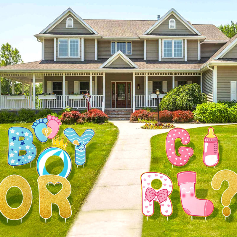 11 pièces de décorations de genre pour la fête de naissance de bébé