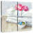 Senne Laundry Day IV-109112249
