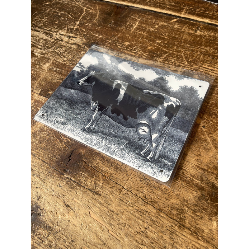 Wall Decor on Metal, 28cm H x 41cm W
