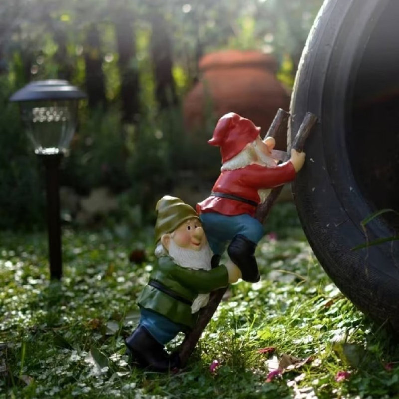 Gnomes Desamours sur échelle