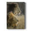 Lions au soleil du matin - galerie Cavas sur mesure-261408459